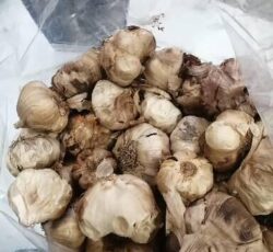 سیر سیاه(به صورت عمده و خرده)