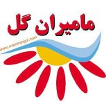 آرد نخودچی طلایی