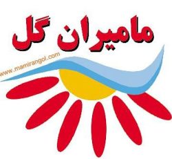 آرد نخودچی طلایی